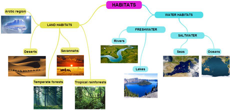 Habitats3MindMap