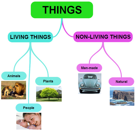 Science3_LivingNonLivingThings_MindMap