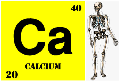 bones1calcium
