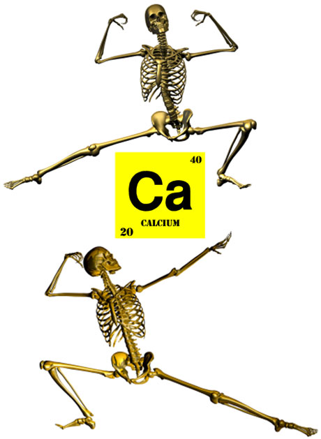 bones3calcium