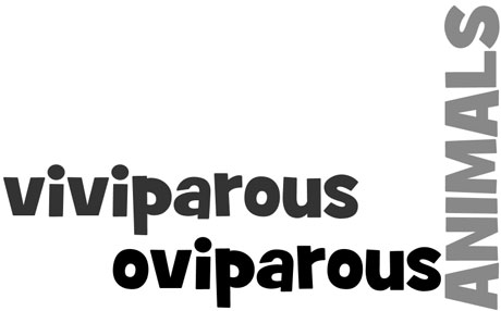 ViviparousOviparous