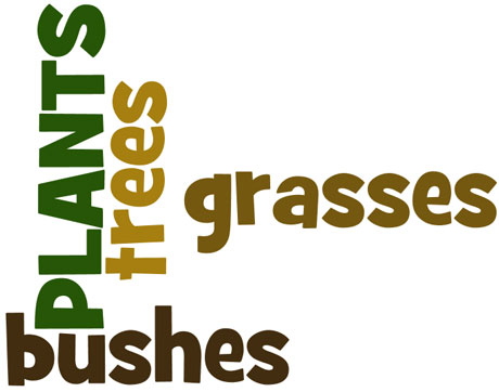 grassesbushestrees
