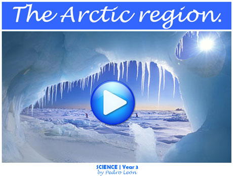 arctic3region_flash