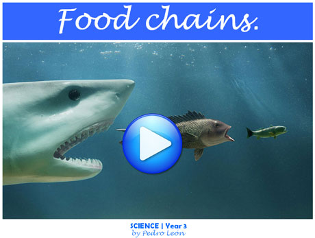 FoodChains_Gallery
