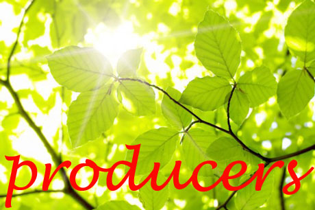 plants_producers