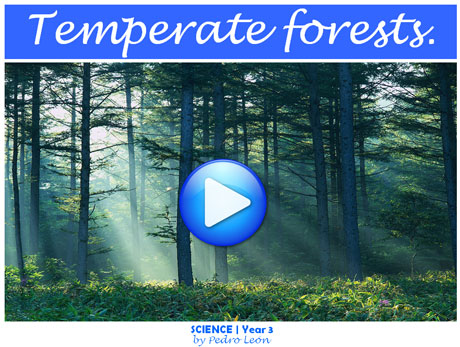 temperate3forests_flash
