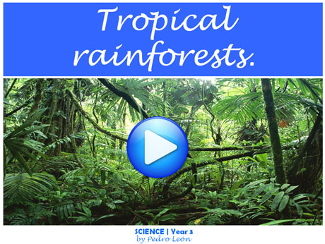 tropical3rainforests