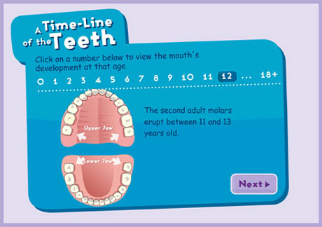 toothtimeline