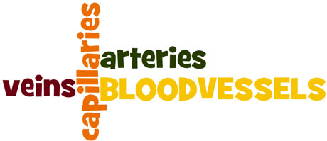 BloodVessels_wordle