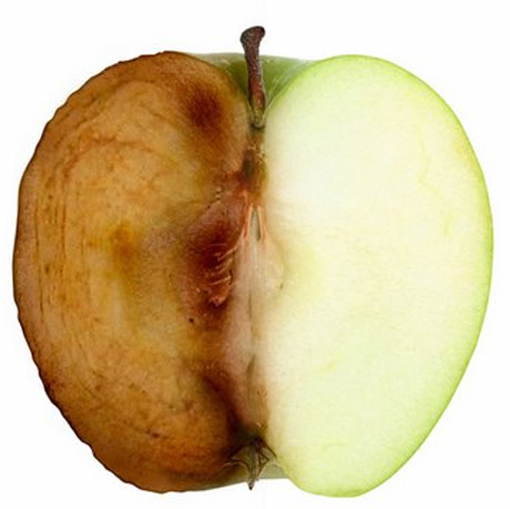 apple_browning